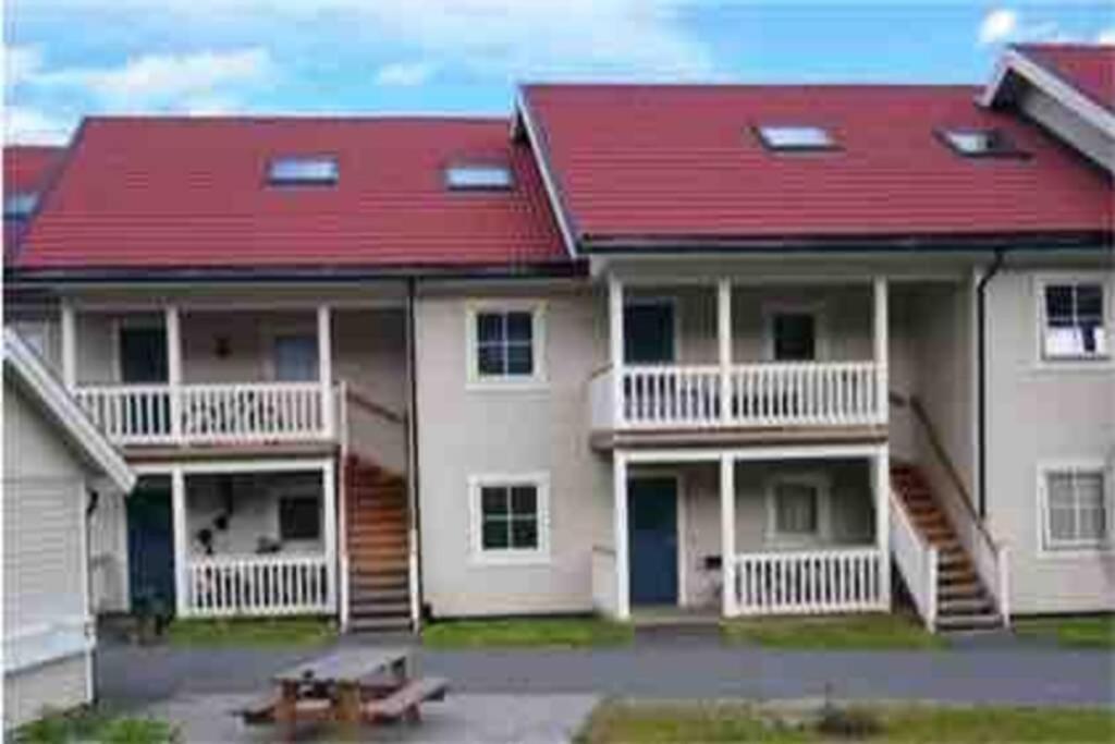 Sleep Well 2 Apartment Kongsberg Ngoại thất bức ảnh