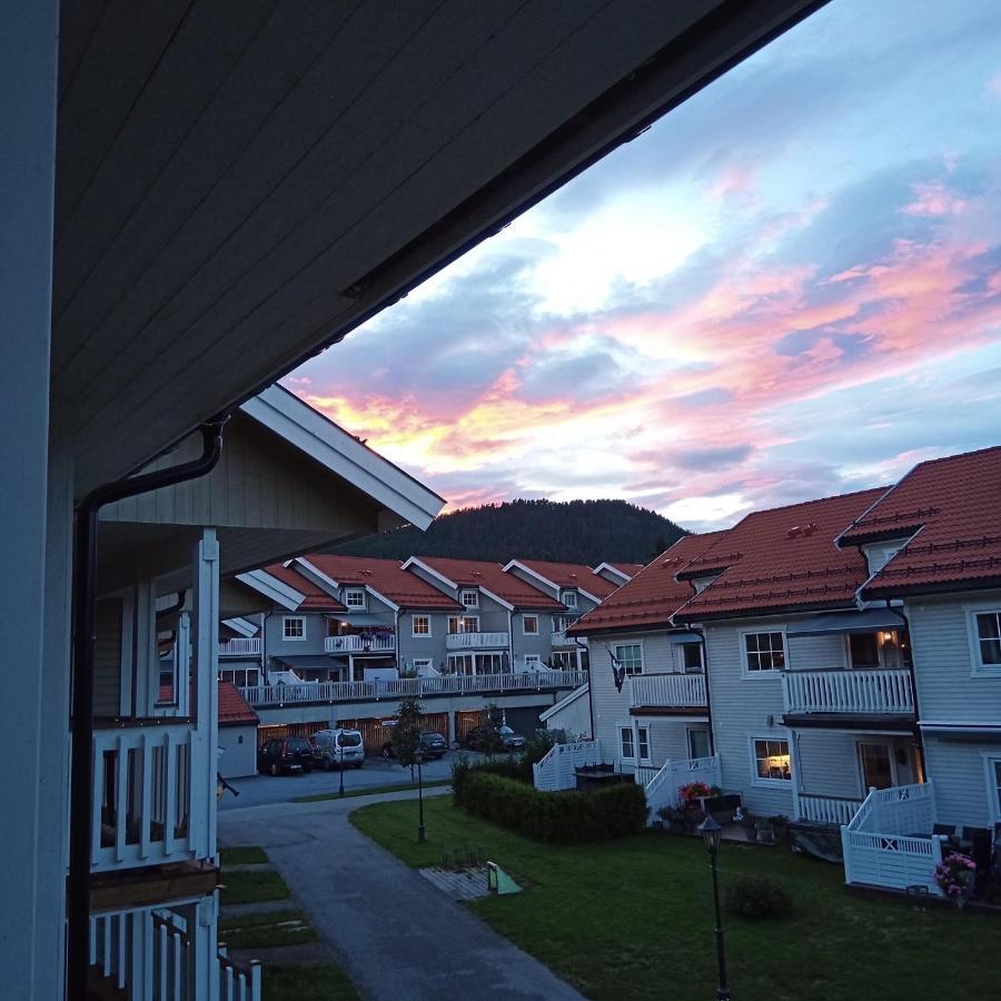 Sleep Well 2 Apartment Kongsberg Ngoại thất bức ảnh